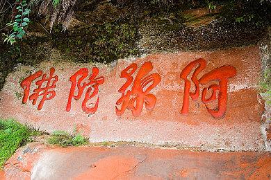 别猜了！任天堂官方证实新短片与《皮克敏》新作无关